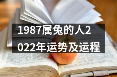 1987属兔的人2025年运势及运程