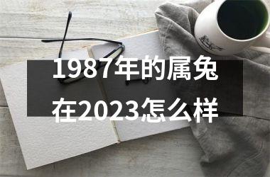 1987年的属兔在2025怎么样