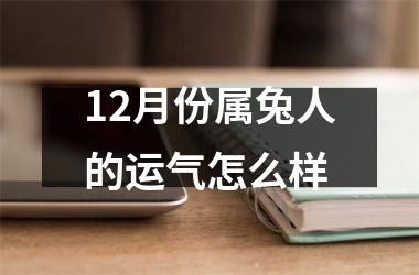 12月份属兔人的运气怎么样