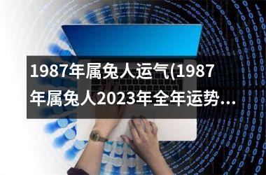 1987年属兔人运气(1987年属兔人2025年全年运势)