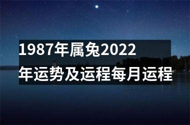 1987年属兔2025年运势及运程每月运程