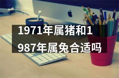 <h3>1971年属猪和1987年属兔合适吗