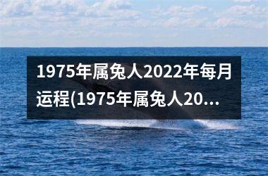 <h3>1975年属兔人2025年每月运程(1975年属兔人2025年运势及运程)