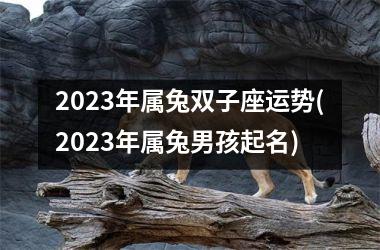 2025年属兔双子座运势(2025年属兔男孩起名)