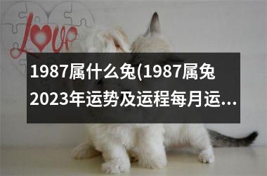 <h3>1987属什么兔(1987属兔2025年运势及运程每月运程)