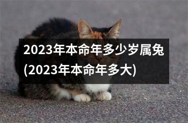 2025年本命年多少岁属兔(2025年本命年多大)