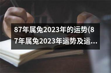 87年属兔2025年的运势(87年属兔2025年运势及运程)