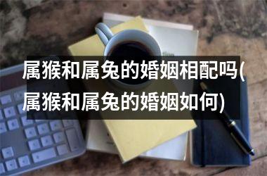 属猴和属兔的婚姻相配吗(属猴和属兔的婚姻如何)