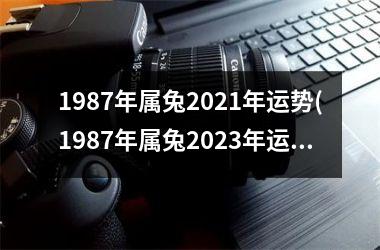 1987年属兔2025年运势(1987年属兔2025年运势及运程)