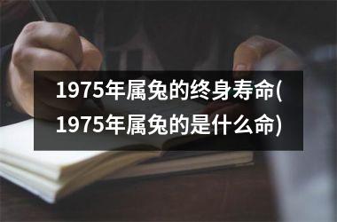 1975年属兔的终身寿命(1975年属兔的是什么命)