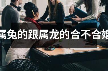属兔的跟属龙的合不合婚