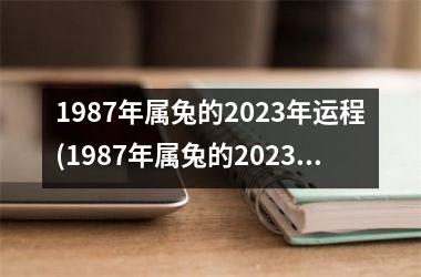 1987年属兔的2025年运程(1987年属兔的2025年运势)