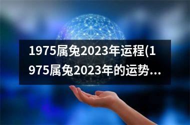 1975属兔2025年运程(1975属兔2025年的运势及运程)