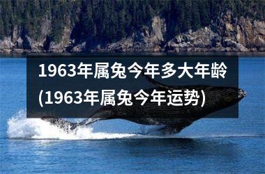 1963年属兔今年多大年龄(1963年属兔今年运势)