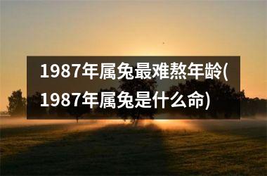 1987年属兔最难熬年龄(1987年属兔是什么命)