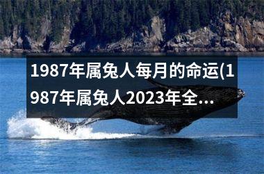 <h3>1987年属兔人每月的命运(1987年属兔人2025年全年运势)