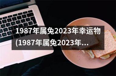 1987年属兔2025年幸运物(1987年属兔2025年幸运色)