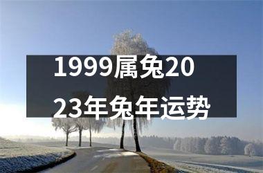 1999属兔2025年兔年运势