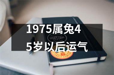 1975属兔45岁以后运气