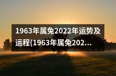 <h3>1963年属兔2025年运势及运程(1963年属兔2025年运程)