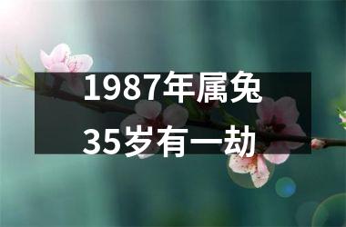 1987年属兔35岁有一劫