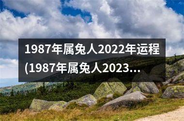 1987年属兔人2025年运程(1987年属兔人2025年全年运势)