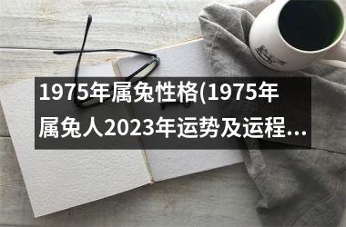 1975年属兔性格(1975年属兔人2025年运势及运程)