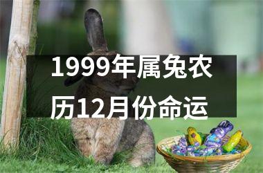 1999年属兔农历12月份命运