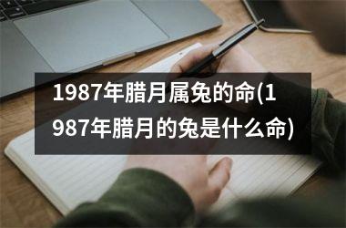 1987年腊月属兔的命(1987年腊月的兔是什么命)