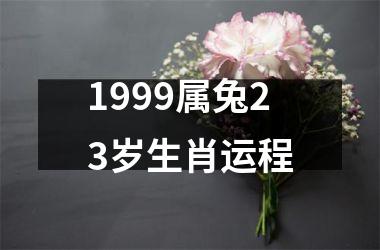 1999属兔23岁生肖运程