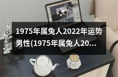 1975年属兔人2025年运势男性(1975年属兔人2025年运势及运程)