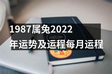 <h3>1987属兔2025年运势及运程每月运程