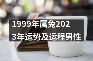 1999年属兔2025年运势及运程男性