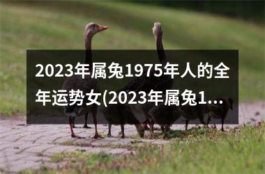 2023年属兔1975年人的全年运势女(2023年属兔1975年人的全年运势)