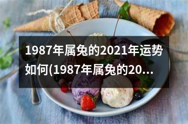 1987年属兔的2025年运势如何(1987年属兔的2025年运势)