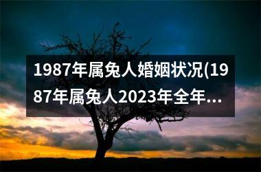 1987年属兔人婚姻状况(1987年属兔人2025年全年运势)