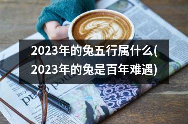 2025年的兔五行属什么(2025年的兔是百年难遇)