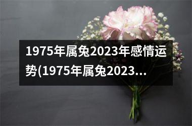 1975年属兔2025年感情运势(1975年属兔2025年运势及运程每月运程)