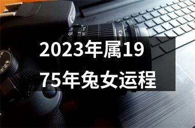 2025年属1975年兔女运程