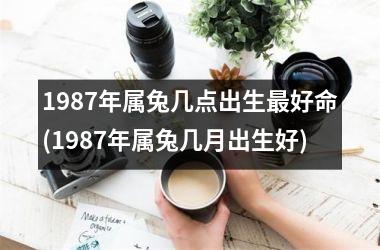 <h3>1987年属兔几点出生最好命(1987年属兔几月出生好)