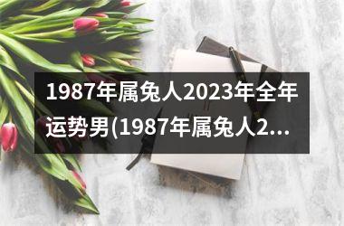 1987年属兔人2023年全年运势男(1987年属兔人2023年全年运势)