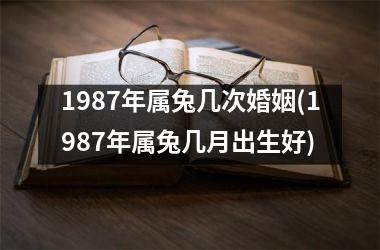 1987年属兔几次婚姻(1987年属兔几月出生好)