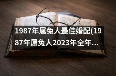 1987年属兔人最佳婚配(1987年属兔人2025年全年运势)