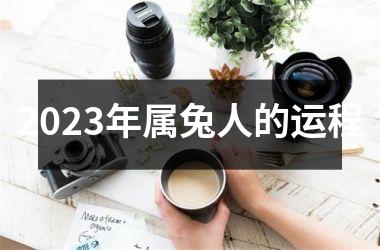 2025年属兔人的运程