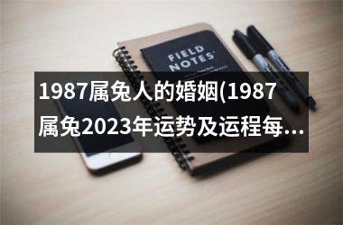 1987属兔人的婚姻(1987属兔2025年运势及运程每月运程)