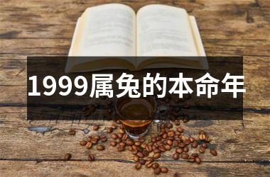 1999属兔的本命年