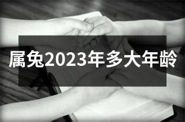 属兔2025年多大年龄