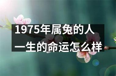 <h3>1975年属兔的人一生的命运怎么样