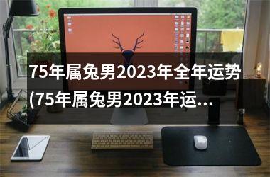 75年属兔男2023年全年运势(75年属兔男2023年运势)