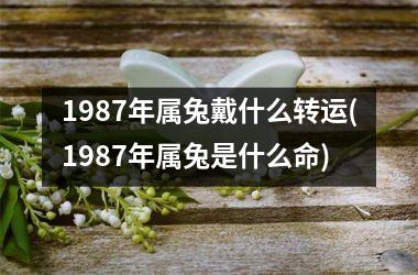 <h3>1987年属兔戴什么转运(1987年属兔是什么命)